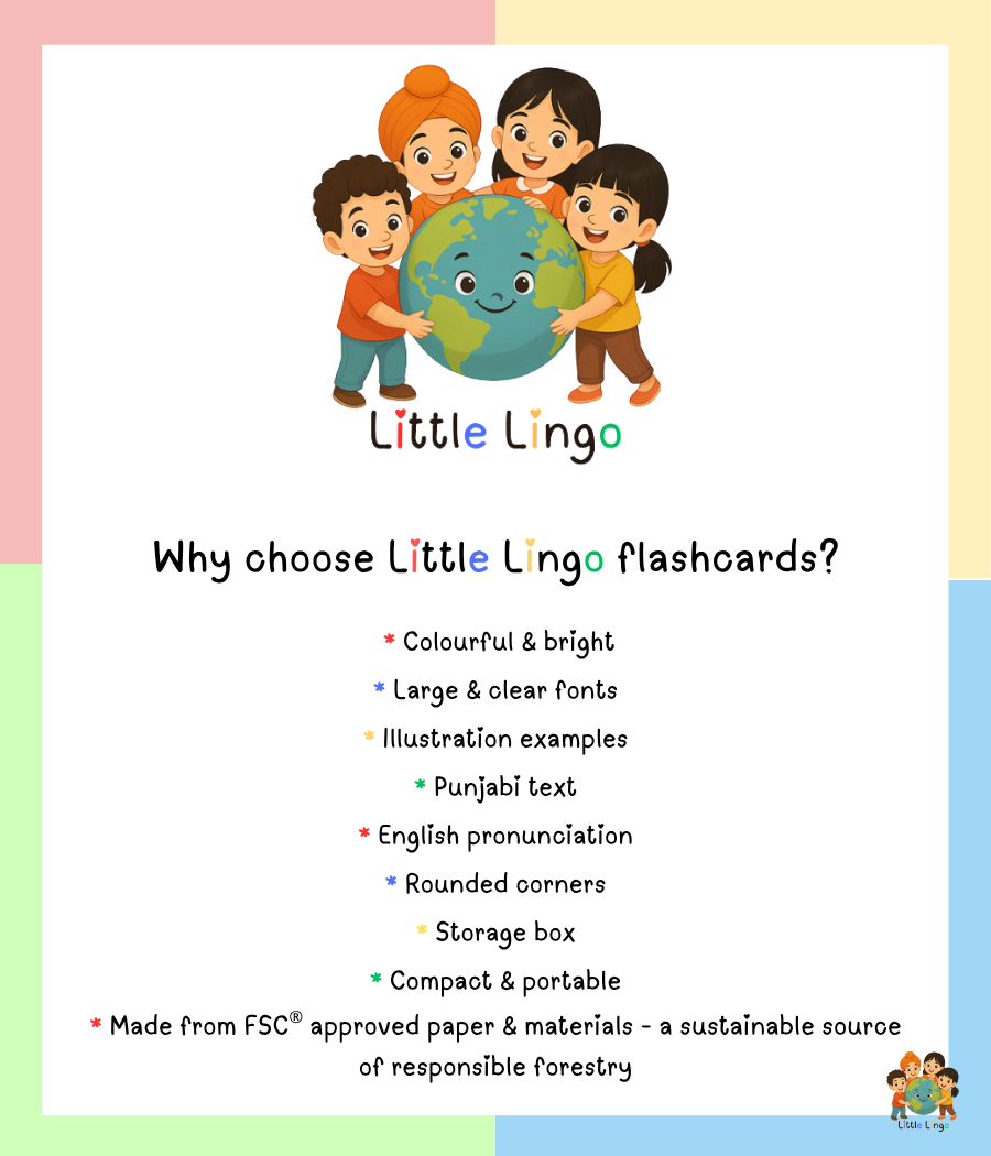 Punjabi Alphabet Flashcards